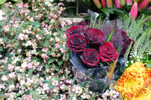 Columbia Road Flower Market 12