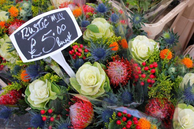 Columbia Road Flower Market 15