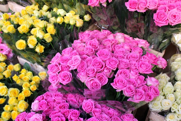 Columbia Road Flower Market 2