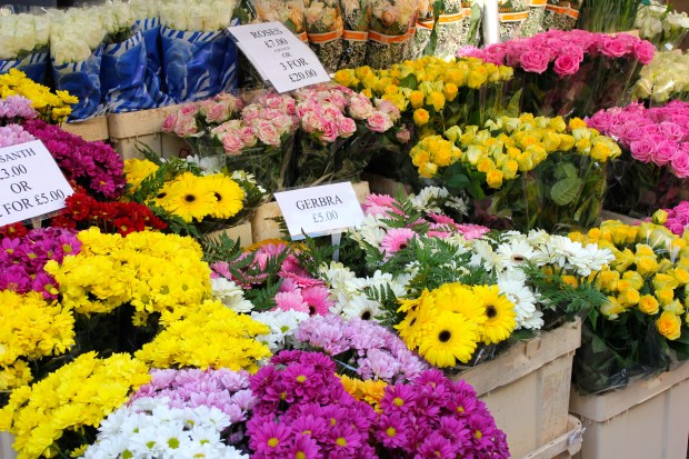 Columbia Road Flower Market
